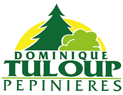 Pépinières Tuloup : Pépiniériste et paysagiste à La Mézière près de Rennes (Accueil)