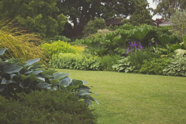 En tant que paysagiste et pépiniériste, nous pouvons mettre en place de nombreux types d'arbustes dans votre jardin. En tant que paysagiste et pépiniériste, nous pouvons mettre en place de nombreux types d'arbustes dans votre jardin.
