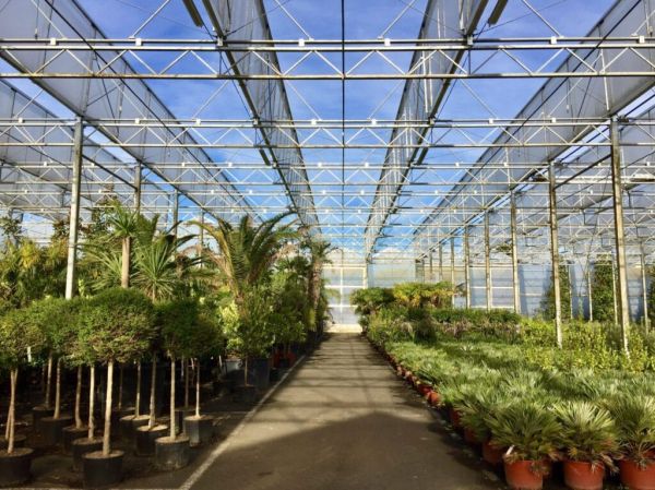 Les P&eacute;pni&egrave;res Tuloup vous conseillent et vous accompagnent dans la conception de votre jardin sur mesure